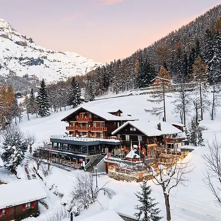 Hotel Restaurant Waldhaus 3*