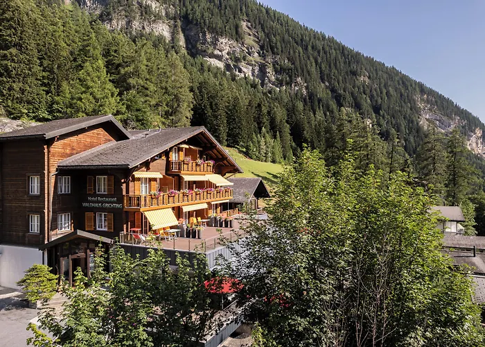 Restaurant Waldhaus Hotel 3*